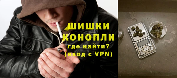 эйфоретик Гусев