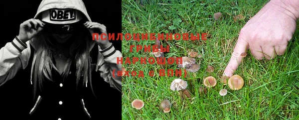марихуана Гусиноозёрск