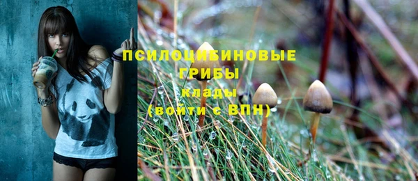 эйфоретик Гусев