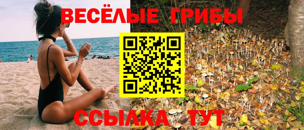 Наро-Фоминск  Псилоцибиновые грибы Psilocybe  Вход с VPN  Галлюциногенные грибы мицелий 